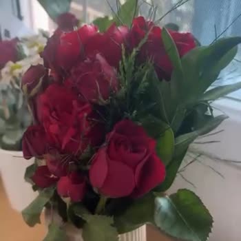 Solmuş Çiçekler Ve Ulaşılamayan Müşteri Hizmetleri