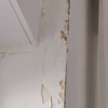 Generali Sigorta İle Ortak Alan Sorunu Çözülmedi