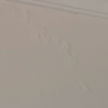 Generali Sigorta İle Ortak Alan Sorunu Çözülmedi