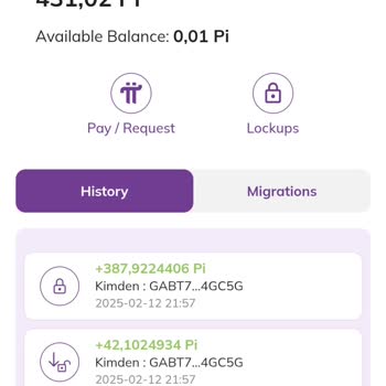 Pıtı Kullanımında Anlam Verilemeyen Kısıtlama