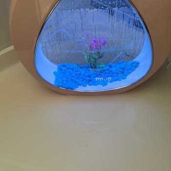 Ayıplı Ürün Ve Müşteri Hizmetleri Sorunu