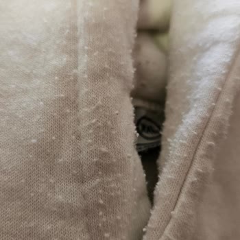 Green Cactus İsmindeki Yeşil İle Alakası Olmayan Bir Firma