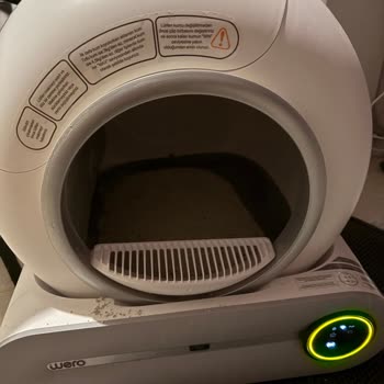 Wero Otomatik Kedi Tuvaleti: Koku Ve Sızdırma Sorunları