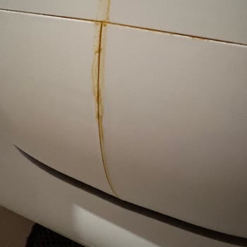 Wero Otomatik Kedi Tuvaleti: Koku Ve Sızdırma Sorunları