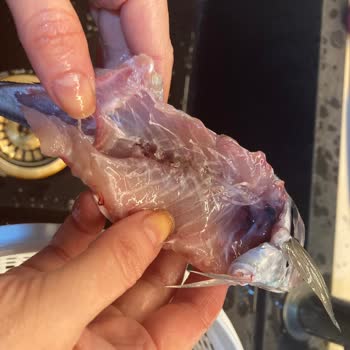 Yanlış Ürün Teslimatı Ve Temizlik Sorunu