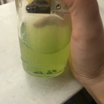 Schweppes Bitter Lemon'da Gizemli Yeşil Parçacıklar