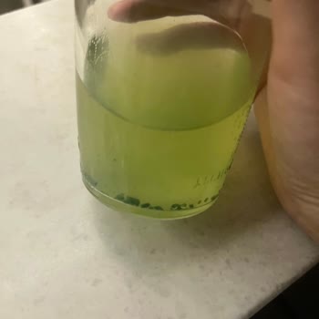 Schweppes Bitter Lemon'da Gizemli Yeşil Parçacıklar