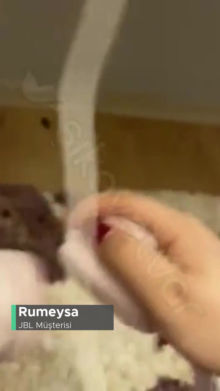 JBL 570 Kulaklık Açma/ Kapama Tuşu Çalışmıyor! videonun kapak resmi