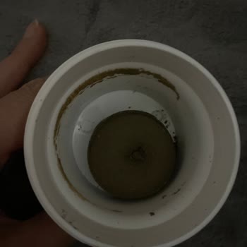 Oda Sıcaklığında Donmuş Ürün Şoku