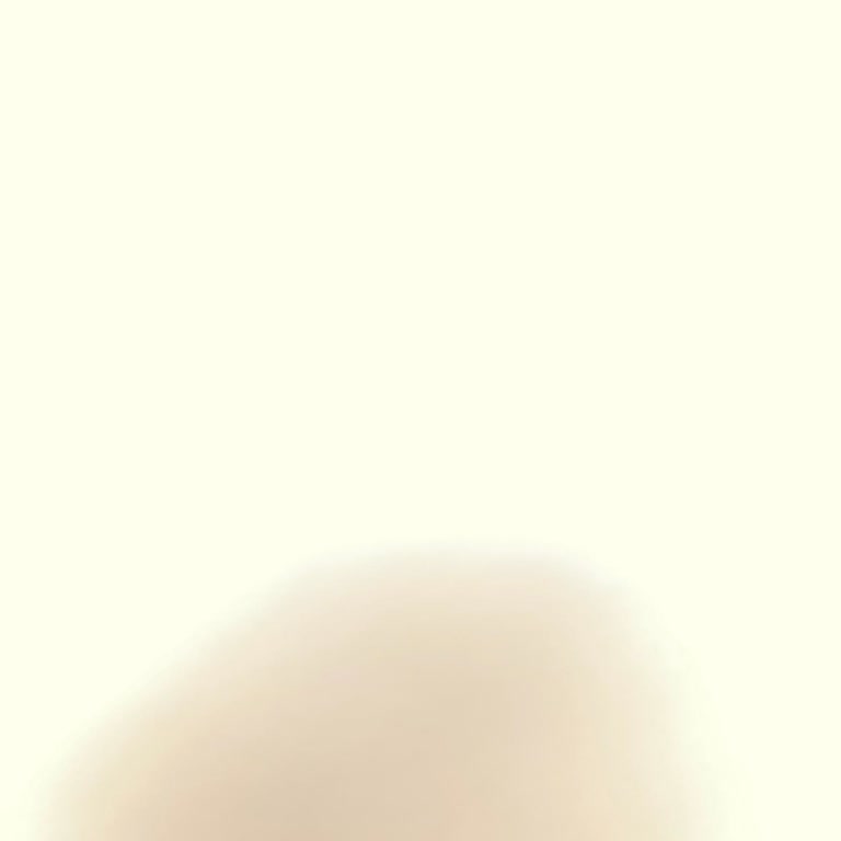 Yanlış Plaka İle Ödenen Trafik Cezası İadesi