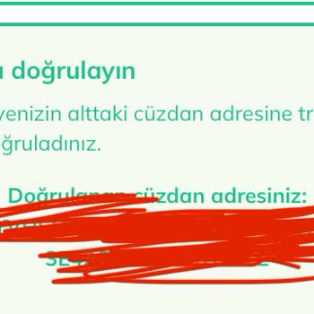 Cüzdan Adresi Değişikliği Nedeniyle Kaybolan Pi Coinler
