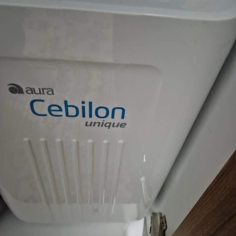 Satış Sonrası Verilen Sözlerin Tutulmaması Ve Yüksek Filtre Ücretleri