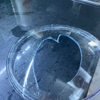 Cam Kapak Patladı, Suçlu Ben Oldum!