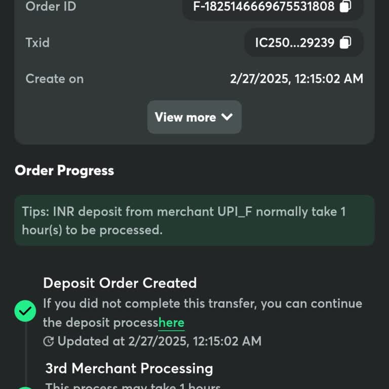 Payment Not Received In My BC.Game Wallet