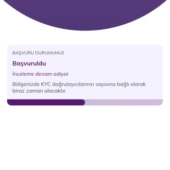 Pi Network KYC Sürecinde Tıkanıklık Ve Bekleme Sorunu