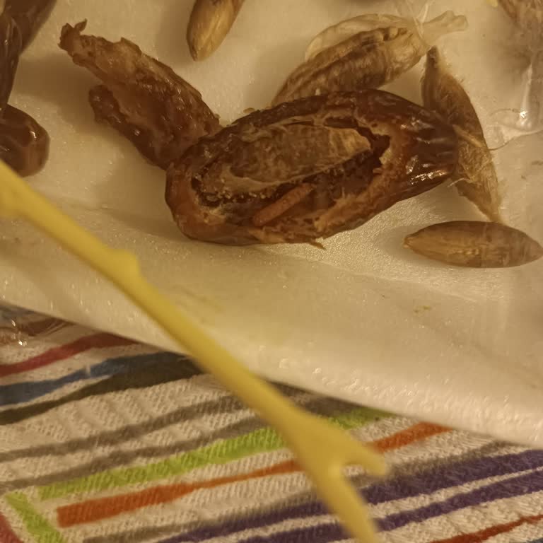 Market Raflarında Korkunç Sürpriz: Hurmanın İçinden Kurt Çıktı