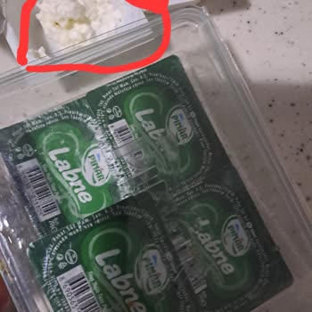 Pınar Et Ve Süt Bebek İçin Aldığım Labne Bozuk Çıktı!