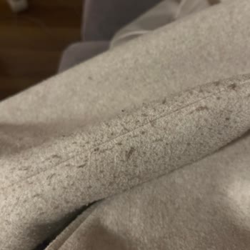 Bir Haftada Tiftiklenen Kaban Hayal Kırıklığı