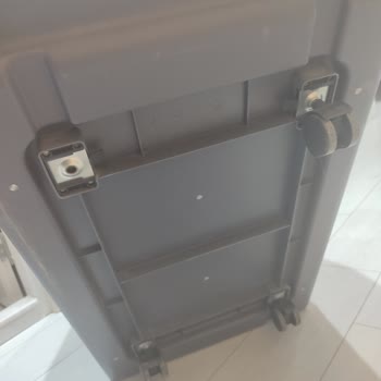 Sunexpress Hava Yolları Evcil Hayvan Taşımasında İhmalkarlık