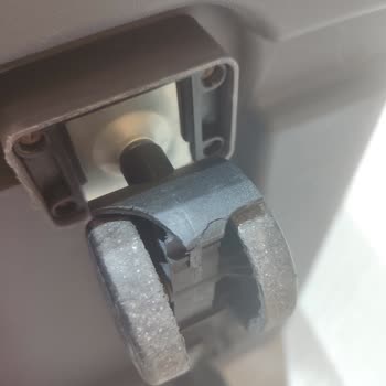 Sunexpress Hava Yolları Evcil Hayvan Taşımasında İhmalkarlık