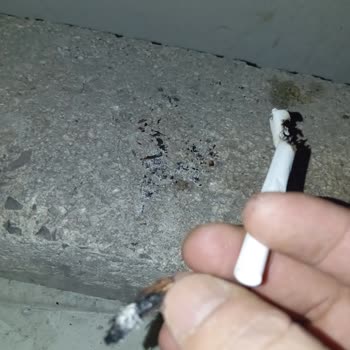 Parliament Night Blue'da Kalite Sorunları: Filtre Hatası Ve Yabancı Madde Şikayeti