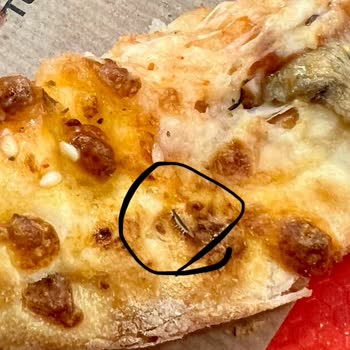 Pizza Siparişimde Böcek Şoku