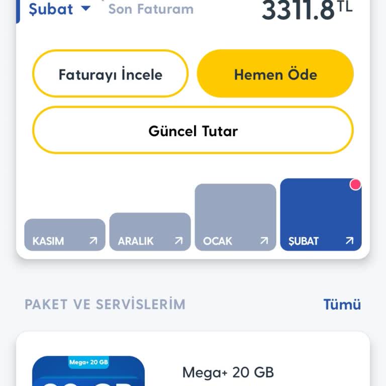 Beklenmedik TikTok Fatura Şoku