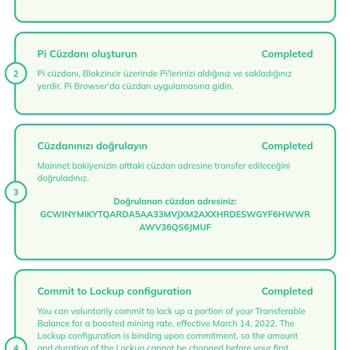 Pi Cüzdan Adresleri Arasındaki Uyumsuzluk