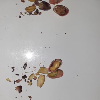 Çürük Fıstık Ve İade Sorunu