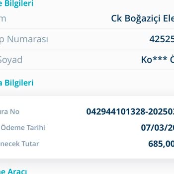 Sürekli Elektrik Kesintileri Mağduriyet Yaratıyor