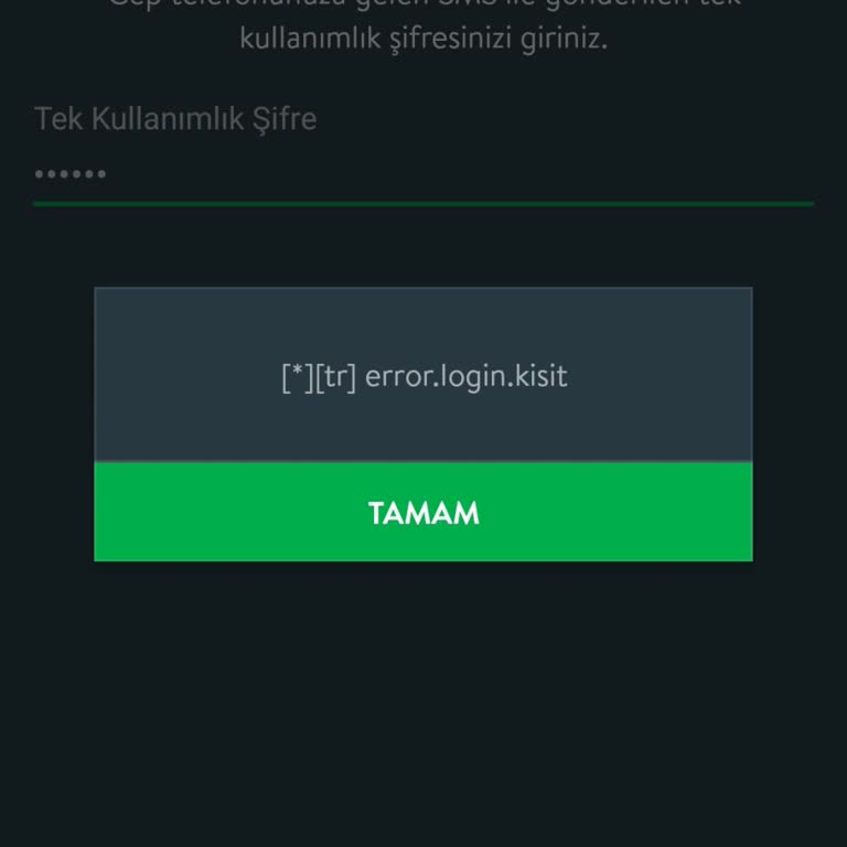 TEB Uygulamasına Giriş Sorunu Ve Çözüm Beklentisi