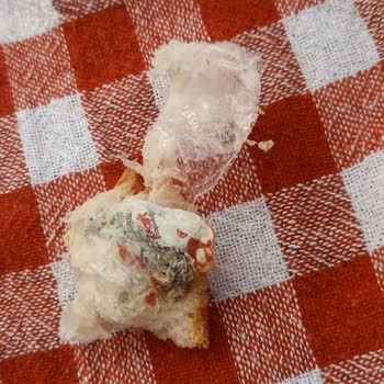 A101'den Aldığımız Ekmeğin İçinden Poşet Çıktı