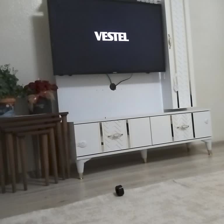 Sürekli Kapanan Televizyon Sorunu Çözülmüyor