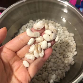 Hasata Kuru Fasulye Kalitesi: Beklenmedik Sorun Ve Müşteri Memnuniyetsizliği