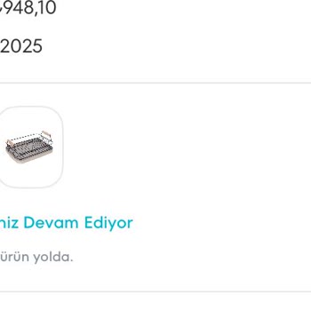 Teslim Edilemeyen Siparişler Ve Ulaşılamayan Müşteri Hizmetleri: A101 Deneyimi