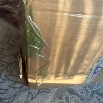 Özensiz Paketleme Ve Yüksek Kargo Ücreti Sorunu