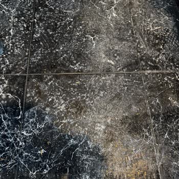 Dios Boya İle Yaşadığım Olumsuz Deneyim!