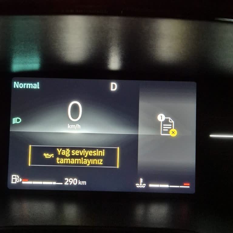 Renault Clio'da Çözülmeyen Yağ Seviyesi Sorunu