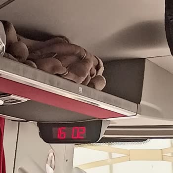 Geciken Otobüs Yolculuğu: Zaman Kaybı Ve Mağduriyet
