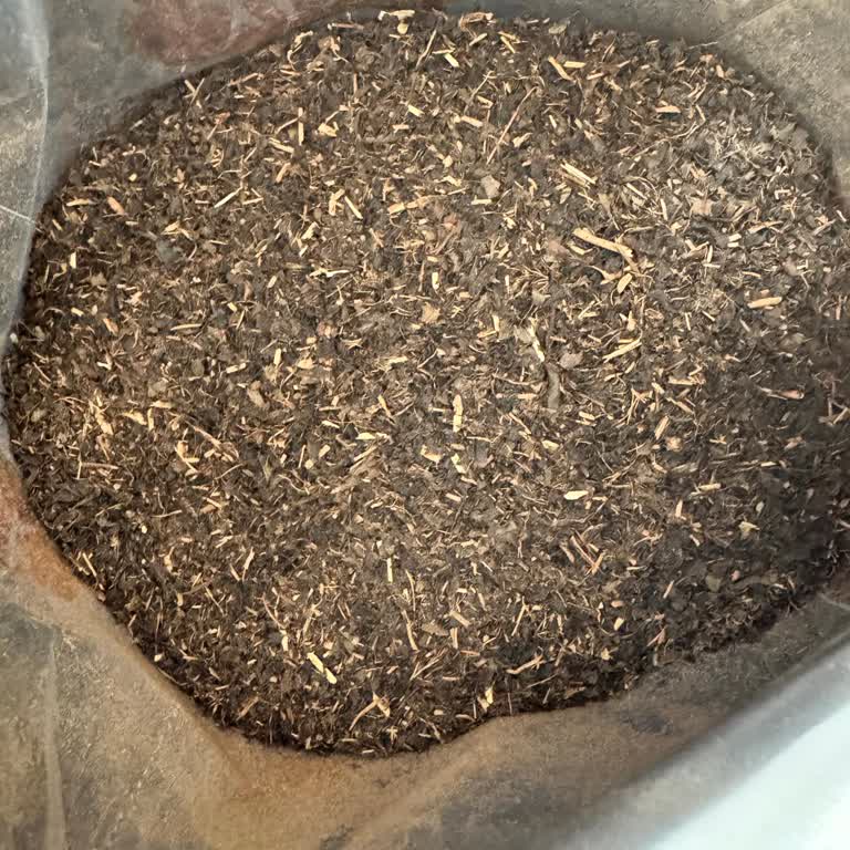 Berk Çay'da Beklenmedik Sürprizler!