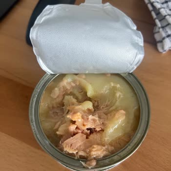 Dondurucu Yağ Tabakasıyla Kaplı Ton Balığı Sorunu