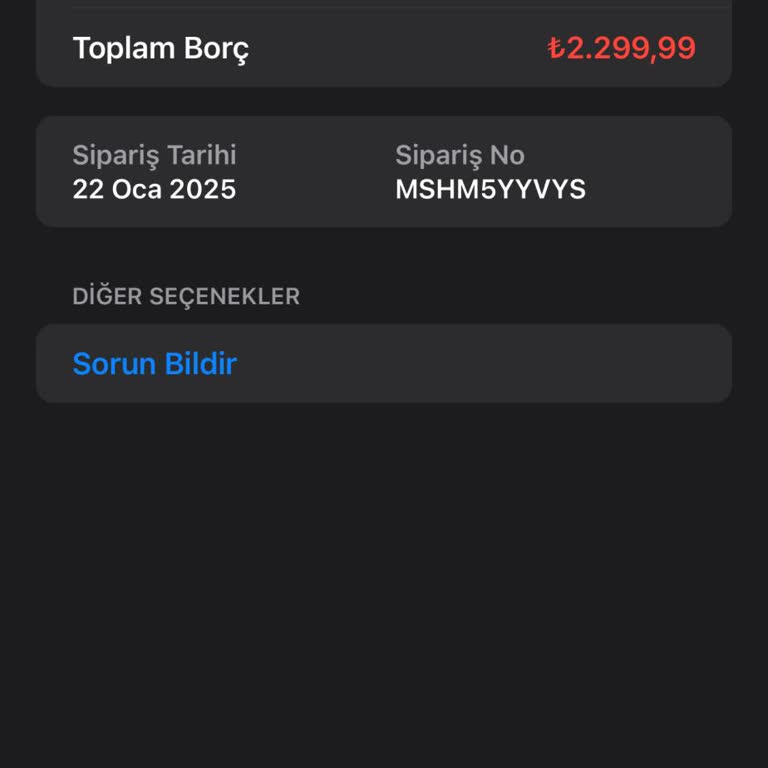 Apple Hesabında İzinsiz İşlem Ve Cihaz Banı Sorunu