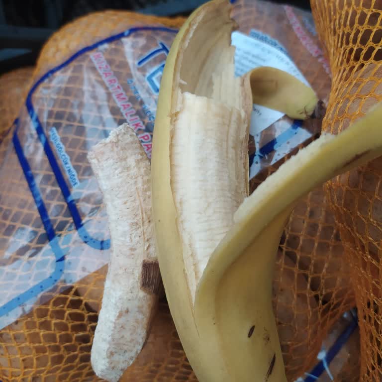 A101'den Aldığım Muzlar Sağlıksız Ve Yenilemez Durumda