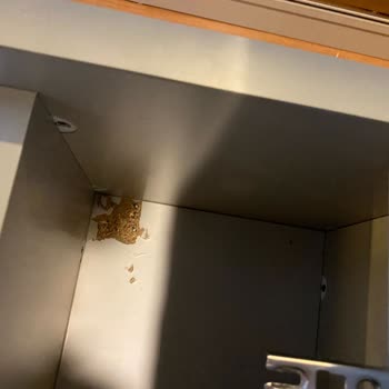 Defolu Yatak Odası Takımı Ve İlgisiz Müşteri Hizmeti