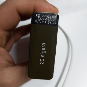 Parliament Night Blue: Kalite Düşüşü Ve Tahta Parçaları Sorunu