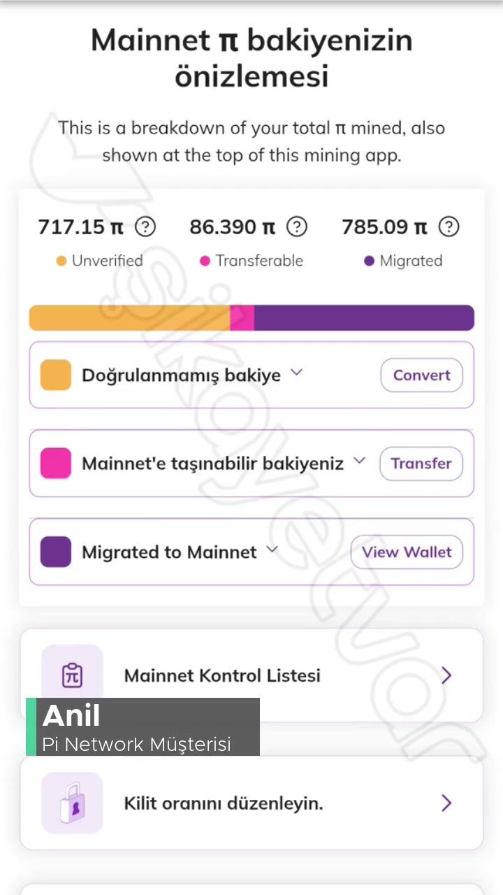 Pi Network Anımsatıcı Dizin Sorunu! videonun kapak resmi