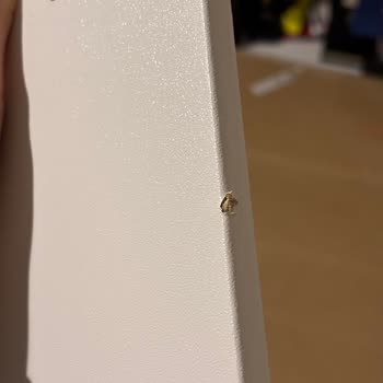 IKEA'dan Gelen Hayal Kırıklığı: Bir Masa Almak Neden Bu Kadar Zor?