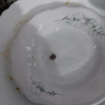 Serel Helvasında Fıstık Yerine Taş Sürprizi