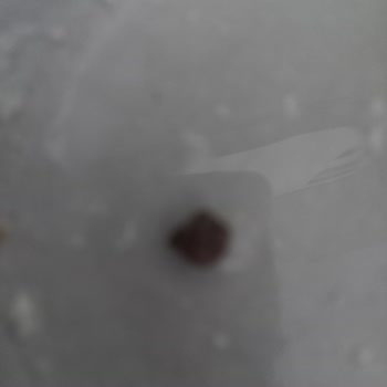 Serel Helvasında Fıstık Yerine Taş Sürprizi