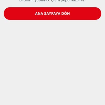 Kedi Sahiplendirme Sürecinde Yaşanan Şüpheli Durumlar Ve Son Dakika Uyanışı